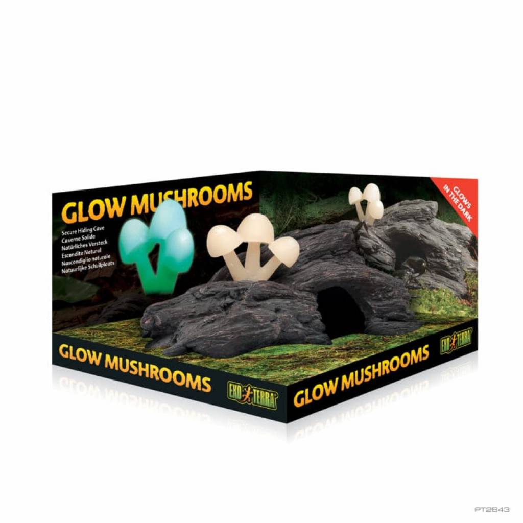 GLOW MUSHROOMS
